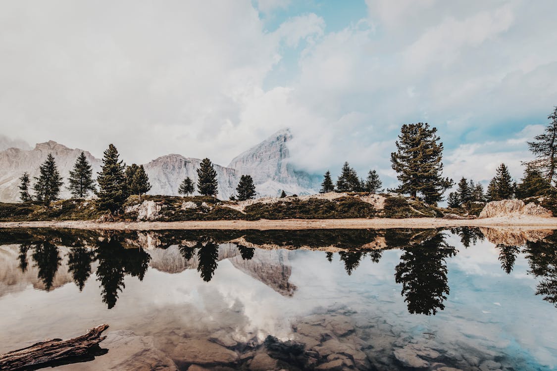 stk design library image 8